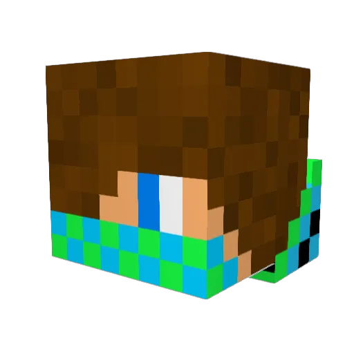 TLEVECK13 Minecraft avatar head, 3D render