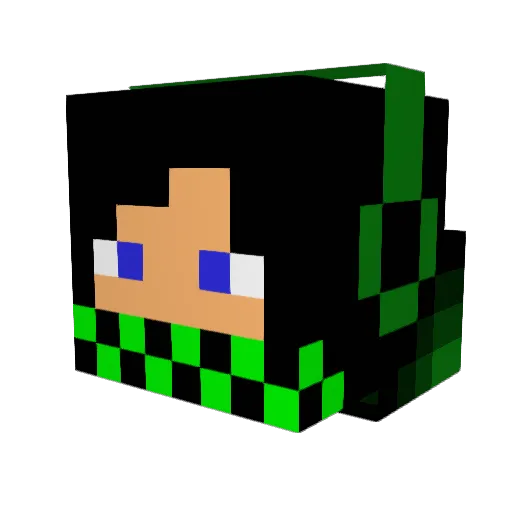 TLI_Max Minecraft avatar head, 3D render