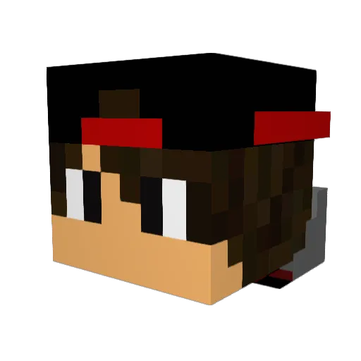 TLJLC Minecraft avatar head, 3D render