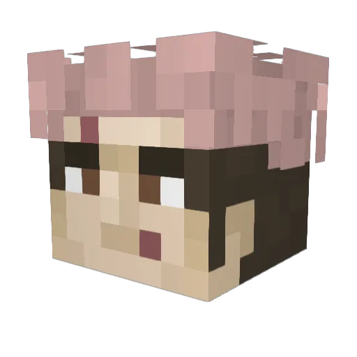 TLKBRAY Minecraft avatar head, 3D render
