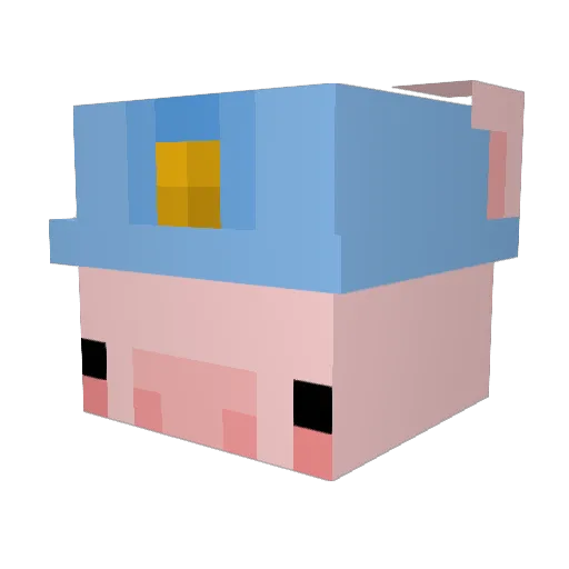 TLSRUDGN_S Minecraft avatar head, 3D render