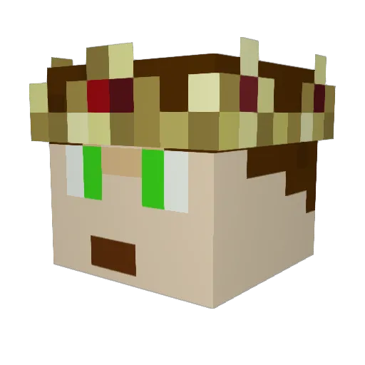 TLW_ Minecraft avatar head, 3D render