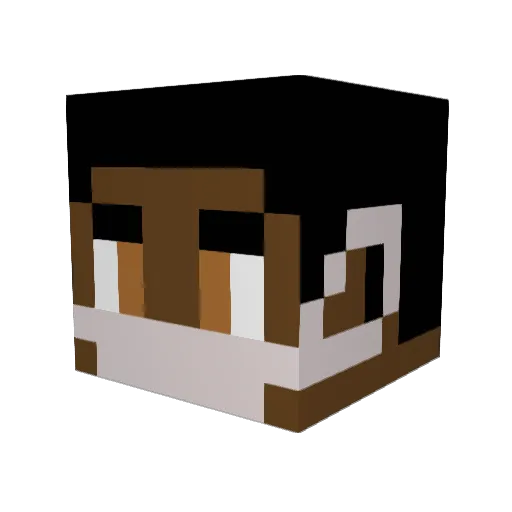 TMB_RXPHY Minecraft avatar head, 3D render