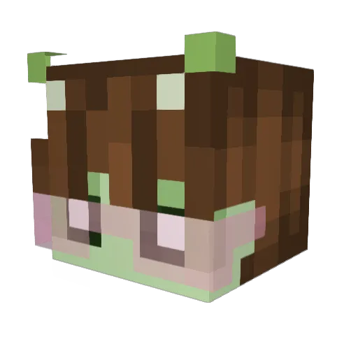 TMCMooN Minecraft avatar head, 3D render