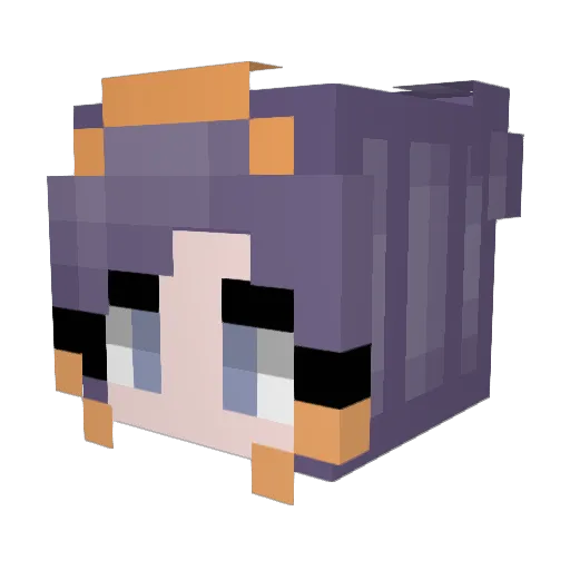 TMD_Jason2021 Minecraft avatar head, 3D render