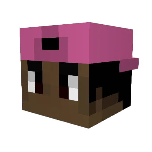 TMIH Minecraft avatar head, 3D render