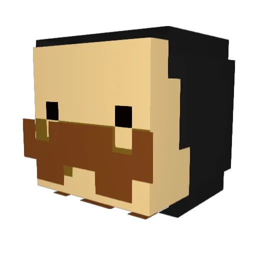 TMI_Ducky Minecraft avatar head, 3D render
