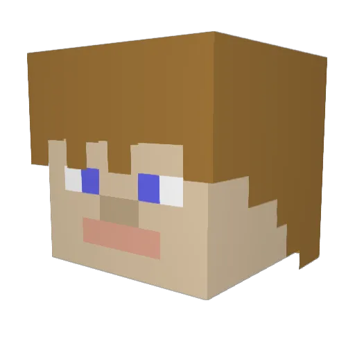 TMJames Minecraft avatar head, 3D render