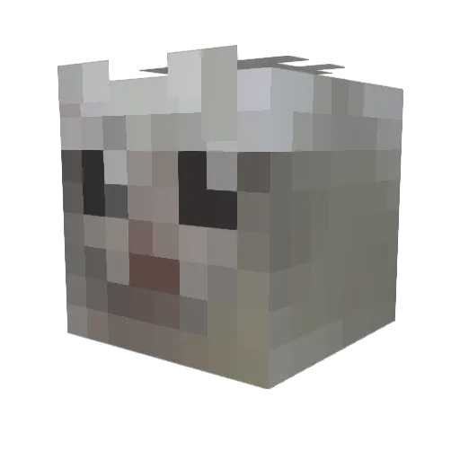 TMMK1 Minecraft avatar head, 3D render