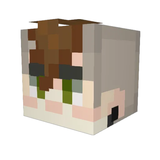 TMMT69 Minecraft avatar head, 3D render