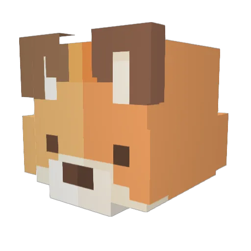 TMNTR_ Minecraft avatar head, 3D render