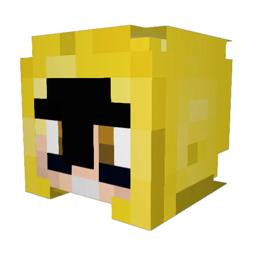 TMNT_TAVO Minecraft avatar head, 3D render
