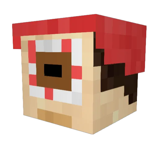 TMP666 Minecraft avatar head, 3D render