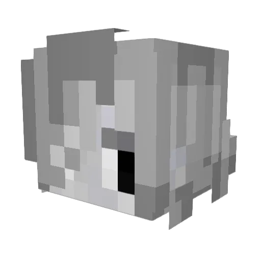 TMPIR Minecraft avatar head, 3D render