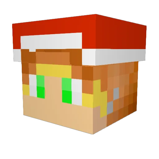 TMQ_Cter Minecraft avatar head, 3D render
