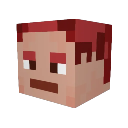 TMRainbow Minecraft avatar head, 3D render