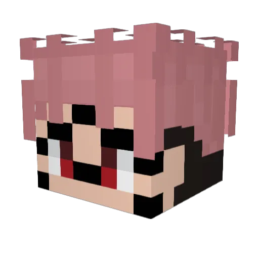 TMXP01 Minecraft avatar head, 3D render
