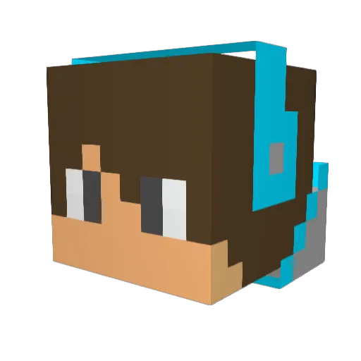TMY2 Minecraft avatar head, 3D render