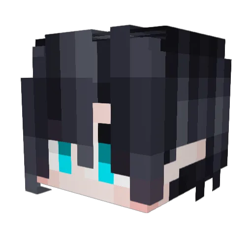 TMYKASMER Minecraft avatar head, 3D render