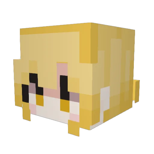 TM_Hail Minecraft avatar head, 3D render