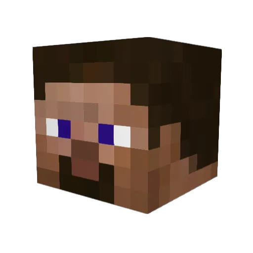 TM_Jay Minecraft avatar head, 3D render