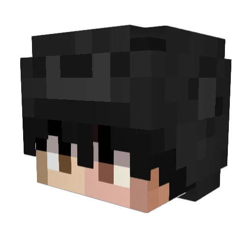 TM__15 Minecraft avatar head, 3D render