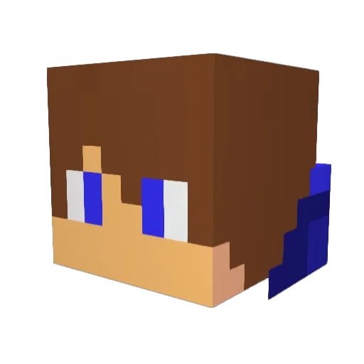 TM_igorgamer Minecraft avatar head, 3D render
