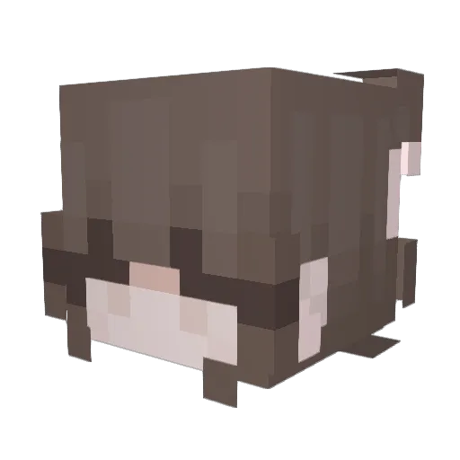 TMajkaa Minecraft avatar head, 3D render
