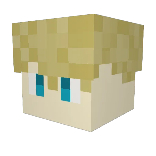 TMan4220 Minecraft avatar head, 3D render