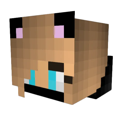 TMiah07 Minecraft avatar head, 3D render