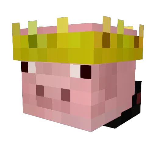 TMo256 Minecraft avatar head, 3D render