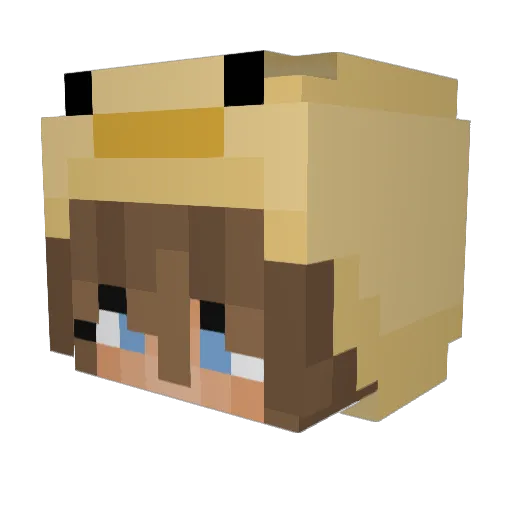 TN20025 Minecraft avatar head, 3D render