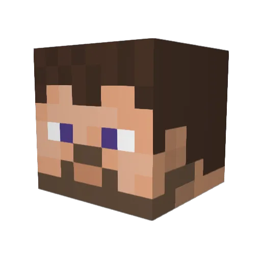 TNFSG Minecraft avatar head, 3D render