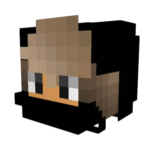 TNG_UNKNOWN Minecraft avatar head, 3D render