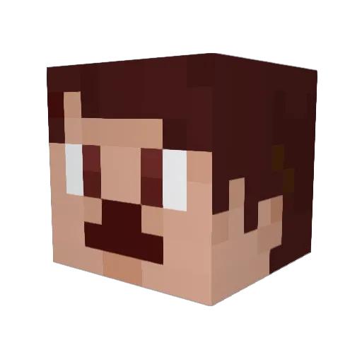 TNNNAN Minecraft avatar head, 3D render
