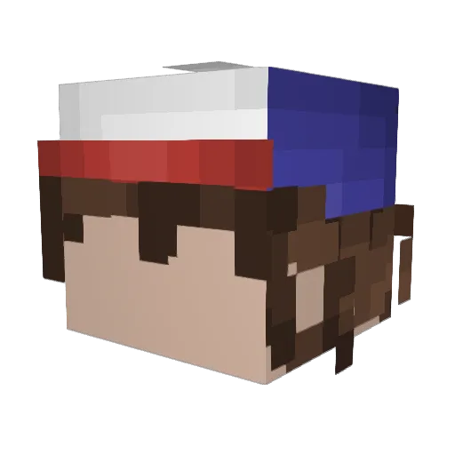 TNRBfrags Minecraft avatar head, 3D render