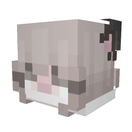 TNRe9 Minecraft avatar head, 3D render