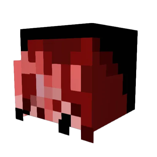 TNT565 Minecraft avatar head, 3D render