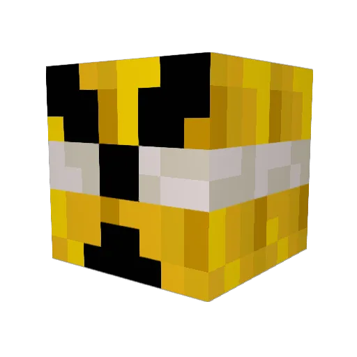 TNTCAT98 Minecraft avatar head, 3D render