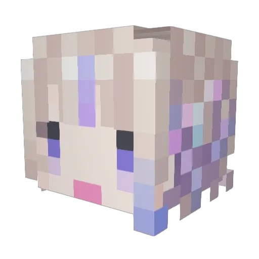 TNTDEWEY Minecraft avatar head, 3D render