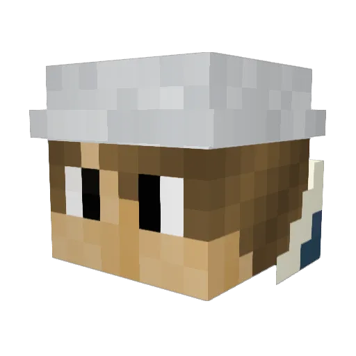 TNTDestroyer2_0 Minecraft avatar head, 3D render