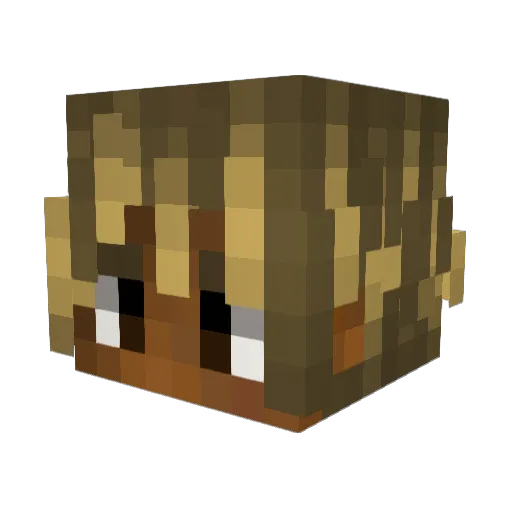 TNTFzz Minecraft avatar head, 3D render