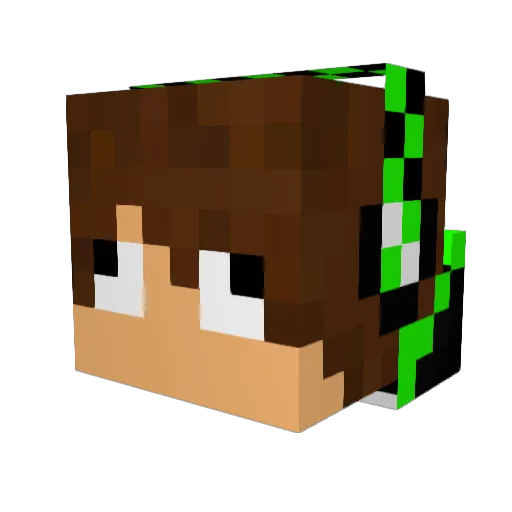 TNTGamer02 Minecraft avatar head, 3D render