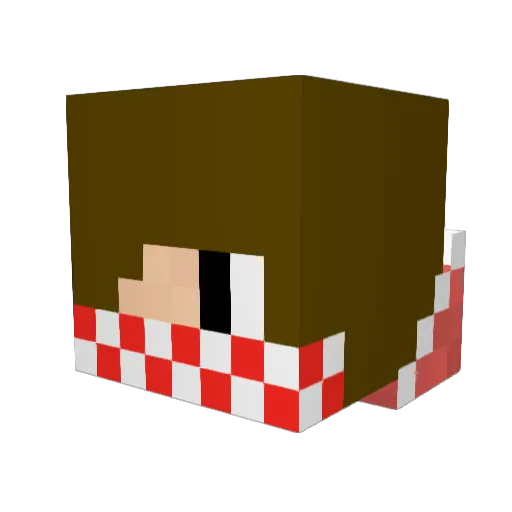 TNTGuy1000 Minecraft avatar head, 3D render