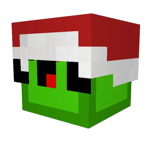 TNTMaster2011 Minecraft avatar head, 3D render
