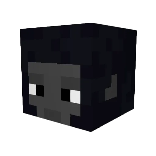 TNTMasterJT Minecraft avatar head, 3D render