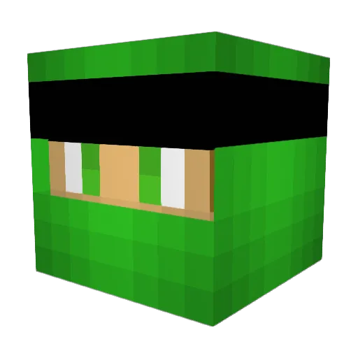 TNTNinja256 Minecraft avatar head, 3D render