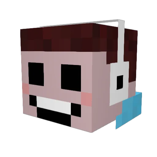 TNTPRO3123 Minecraft avatar head, 3D render