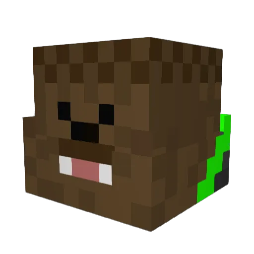 TNTPaul7 Minecraft avatar head, 3D render