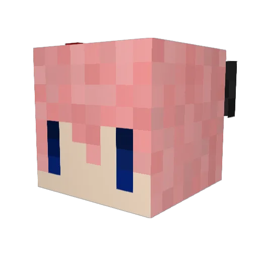 TNT_Rock Minecraft avatar head, 3D render